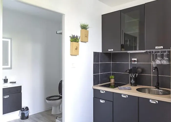 L'authentique *studio *parking Prive* *wifi*calme * ルルド